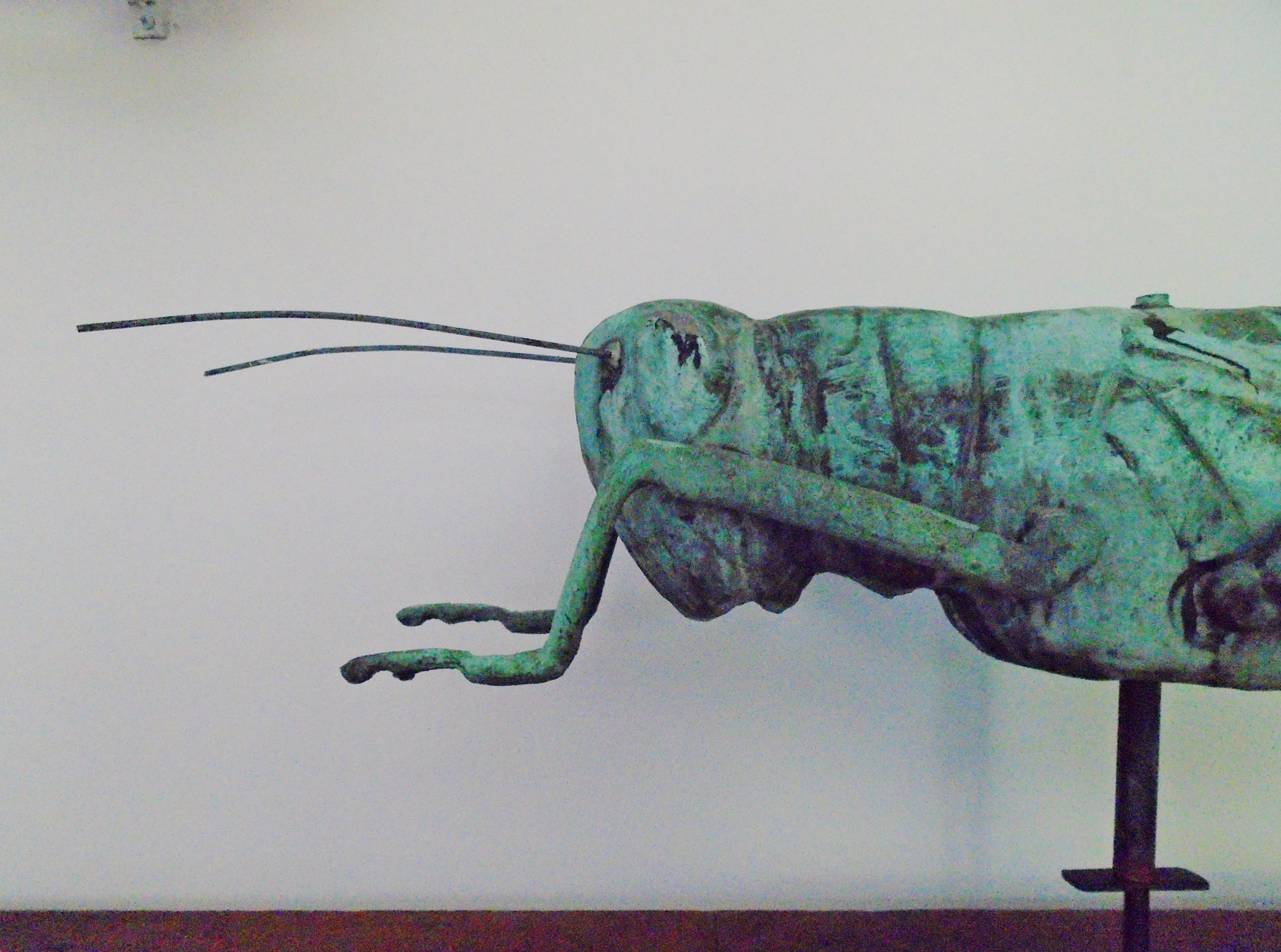 MOLDED COPPER GRASSHOPPER IN OLD SURFACE